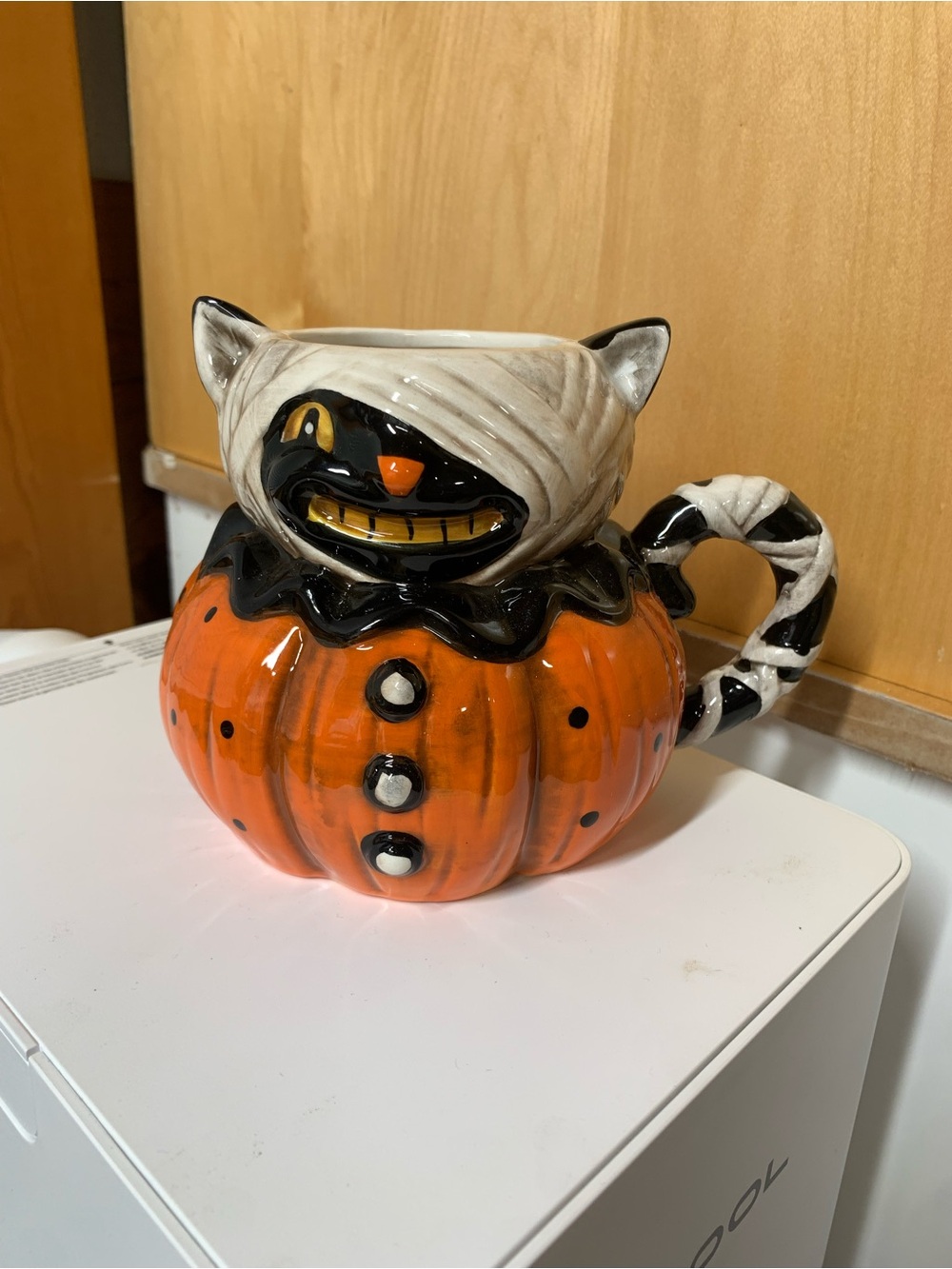 Johanna Parker cat mummy